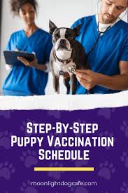 A vaccination schedule is a series of vaccinations, including the timing of all doses, which may be either recommended or compulsory, depending on the country of residence. 2020 Dog Vaccination Schedule 101 For Canada Easy Step By Step Puppy Vaccination Schedule