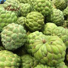 The fruit looks somewhat like a tightly closed artichoke, although some. 20 Pcs Green Gooseberry Cherimoya Seed Prickles Tropical Fruit Tree Seed Orchard Water Plant Seeds Buy At A Low Prices On Joom E Commerce Platform