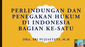 Di indonesia perlindungan dan penegakan hukum sudah berjalan dengan baik sekali, berikut ini ada 10 contoh soal essay perlindungan dan penegakan hukum di indonesia. Ppj Kelas Xii Bab Ii Perlindungan Dan Penegakan Hukum Di Indonesia Bagian 1 Youtube