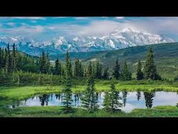 Uyku Getiren Muzikler Uyku Muzikleri Meditasyon Dinlendirici Rahatlatici Muzikler Huzur Veren Mu Youtube 2020 Meditasyon Muzik Uyku