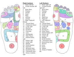 51 Right Nerve Endings In Feet Chart