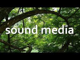 Nature Ambience Background Sound Effects Free Stock Download No Copyright Youtube