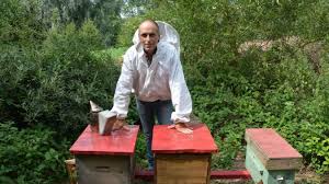 Maybe you would like to learn more about one of these? Houdain Mathieu Blatter L Ami Des Abeilles