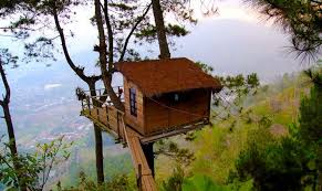 Hasil gambar untuk wisata rumah pohon lestari kabupaten lamongan, jawa timur