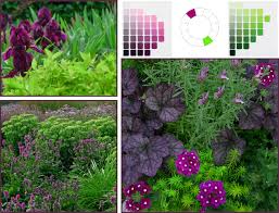 Colouring Your Garden Part 9 Colour Schemes Not Another Gardening Blog Garden Design Ideas Decoration Colorful Garden Gardening Blog