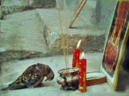 Look At The Birds Of The Air They Neither Sow Nor Reap Pin On Orthodox