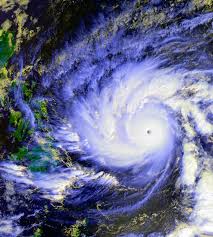 | meaning, pronunciation, translations and examples. Typhoon Wiktionary