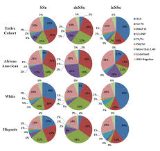 Ethnic Differences In Autoantibody Diversity And Hierarchy
