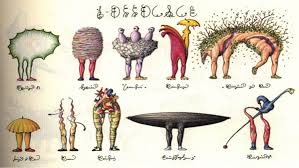 Codex Seraphinianus – cea mai misterioasă carte din lume | Liber-Cugetători