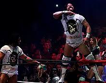 Hijo del vikingo & laredo kid vs. El Terrible Wikipedia