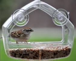 A diy bird feeder is the way to make the birds in your backyard feel at home. Best Window Bird Feeders Mirror Hummingbird In House