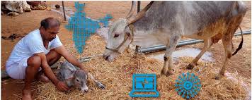 Prevalence Of Bovine Tuberculosis In India Oie Bulletin Prevalence of bovine tuberculosis in india: