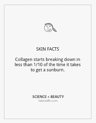 Over the past few decades. 7 Science Based Skincare Tips Lab Muffin Beauty Science