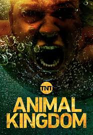 Get Ready For Another Wild Ride When Tnt S Animal Kingdom Returns For Season 3 Trailer Preview Video Animalkingdom Amazon Prime Shows Animal Kingdom Tv Show Animal Kingdom Tnt