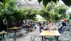 Tempat outbound dan edukasi ini masih alami bernuansa pring hijau , berhawa sejuk dan dikelilingi sawah. 10 Wisata Paling Hits Murah Di Sidoarjo Wajib Ke Sini