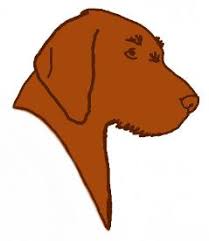 Loroka wirehaired vizslas has met the requirements to participate in the following american kennel clubs breeder programs. Wv Breeder Registry Wirehaired Vizsla Breeders California Usa Wirehaired Vizslas Wirehaired Vizsla Puppies Wv Breeder Registry Jayney S Creative Works Jcw