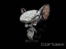 We've gathered more than 5 million images uploaded by our users and sorted them by the most popular ones. Wallpapers Cartoons Wallpapers Pinky And The Brain Cortex By Captainhjelmstad Hebus Com