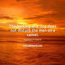 After a couple of years investigation, i that most of the proverbs have little or nothing connecting them in the same chapter we this, that they mean only that the reader would do well to compare the particular proverb with another, because. The Barking Of A Dog Does Not Disturb The Man On A Camel Idlehearts