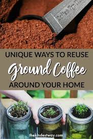 Ingenious Ways To Recycle Coffee Grounds The Kindest Way Uses For Coffee Grounds Coffee Grounds Garden
