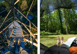 Insider S Guide To Great Smoky Mountains National Park Huckberry Smoky mountain guides will lead you on a tour through some of the oldest mountains in the world. great smoky mountains national park