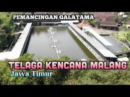 Review Pemancingan Telaga Kencana Malang Jawa Timur Youtube