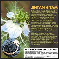 Agak meruncing sampai agak tumpul. Biji Jinten Hitam Biji Habatussauda Habbatusauda Biji Jintan Hitam 500 Gr Shopee Indonesia