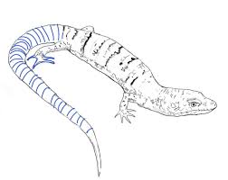Jun 07, 2021 · lizard page no. Free Printable Lizard Coloring Pages For Kids