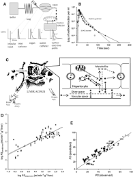 Drug structure–transport relationships