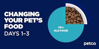 This sealed storage container with a lid is perfect for storing dog food, cat food, or any other pet food you wish to. How To Transition Your Dog Or Cat To A New Food Petco