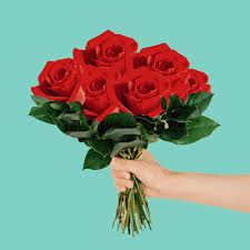 We did not find results for: Flower Bouquet Gifs Get The Best Gif On Giphy