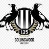 The team was founded in 2016, during the disbanding of the anz championship. 1
