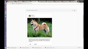 Various options are available to create cards. Angular Material Design Card Youtube