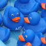 AfD Strengthens Lead Across All Social Groups Ahead of Sachsen-Anhalt 2026 Election