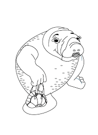 These free, printable summer coloring pages are a great activity the kids can do this summer when it. Coloring Pages Manatee