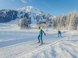 Cross country ski championships will take place at soldier hollow in midway, ut, the site of the. Cross Country Skiing In The Tiroler Zugspitz Arena 131 Kilometres