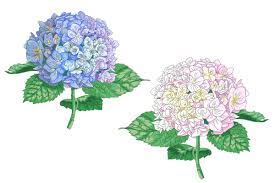 Pin On Mothers Day Photos Crafts