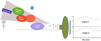 Conclusions may be optional in research articles where consolidation of the study and general implications are covered in the discussion section. Assessment Of Paper Tip Angular Position Carryover Matrix Effects And Dried Blood Spot Storage Effect On Paper Spray Mass Spectrometry Analytical Methods Rsc Publishing
