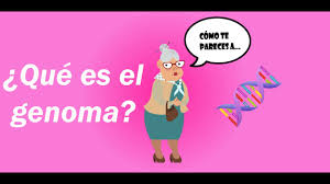 Ese libro es el que me quiero comprar that book is the one (that o which) i want to buy al que, a la que, a los/las que (to) who, (to) whom ese es el chico al que presté dinero that's the boy i lent some money to Que Es El Genoma Sciencetruck4 Youtube