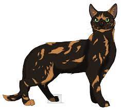 Turtle Tail By Lithestep On Deviantart Warrior Cats Art Warrior Cat Memes Warrior Cats Fan Art