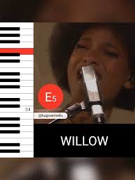 WILLOW performs "home"