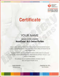 Certified by the american heart association (aha). The Aha Basic Life Support Bls For Healthcare Providers Class Is Designed For Professionals Who Are Required T Basic Life Support Cpr Classes Skills Practice