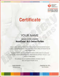 The basic life support (bls) course for adults focuses on doing several tasks simultaneously. The Aha Basic Life Support Bls For Healthcare Providers Class Is Designed For Professionals Who Are Required T Basic Life Support Cpr Classes Skills Practice