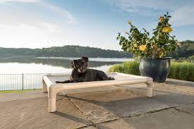 kuranda almond pvc chewproof dog bed mini 25x18 vinyl weave birch forest click on the picture for added details this is an kuranda dog beds dog bed dogs