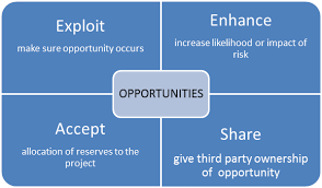 Apa Yang Dimaksud Dengan Risiko Positif Dalam Plan Risk Responses Manajemen Dictio Community