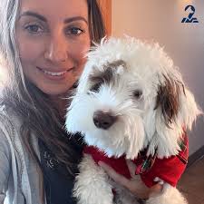 Board-Certified Cardiologist Dr. Soydan, and her technician, Maggie, met  their festive friend, Maizie, at Bay View Veterinary Clinic where they  performed an echocardiogram to further investigate her heart. We are happy  to