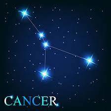 This stage is divided into groups: Cancer Definition And Meaning Collins English Dictionary