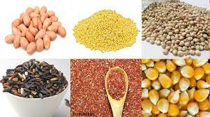 Check spelling or type a new query. Tips Pemberian Pakan Yang Baik Untuk Merpati Hias Taugitu Com