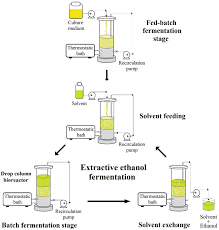 Ethanol (also called ethyl alcohol, grain alcohol, drinking alcohol, or simply alcohol) is an organic chemical compound. Experimental Procedure Utilized In Extractive Ethanol Fermentations In Download Scientific Diagram