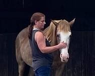 Hang out with Horses