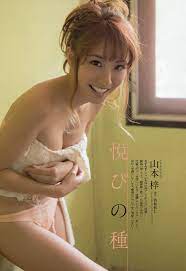 山本梓 グラビア水着画像「45枚」 2013年 2004年 | 水着グラビア